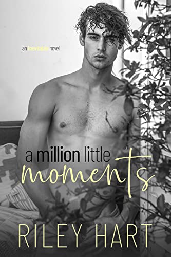 Portada del libro A Million Little Moments (Inevitable Book 2) (English Edition)