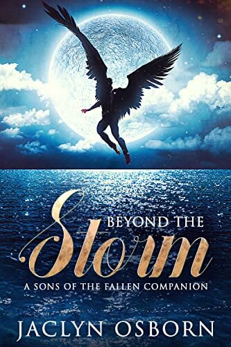 Portada del libro Beyond the Storm: A Sons of the Fallen Companion (English Edition)